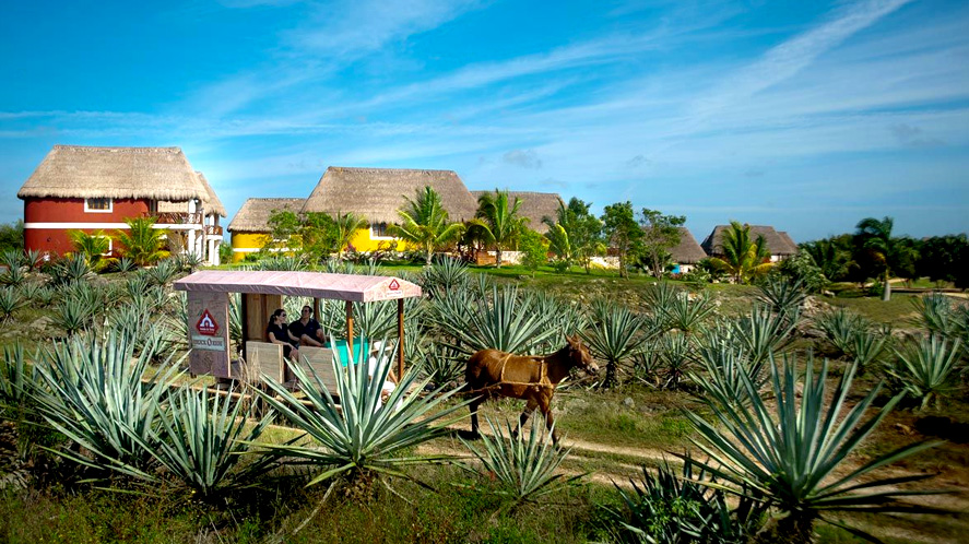 Hacienda henequenera