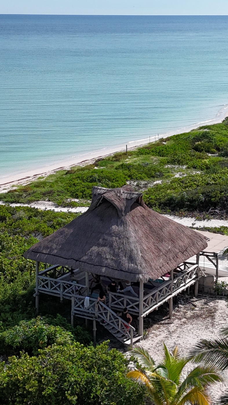Palapa