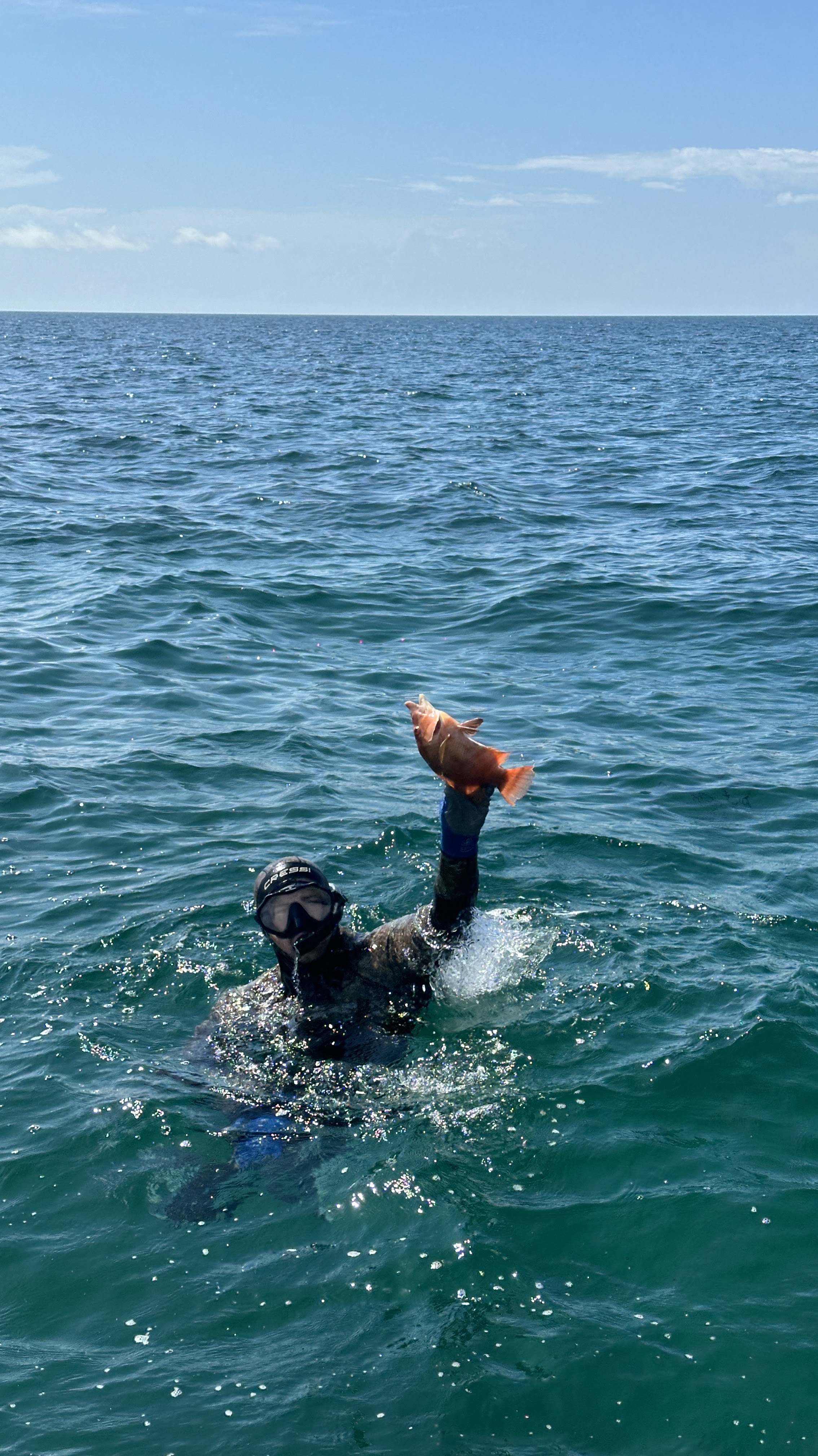 Ocean Adventure